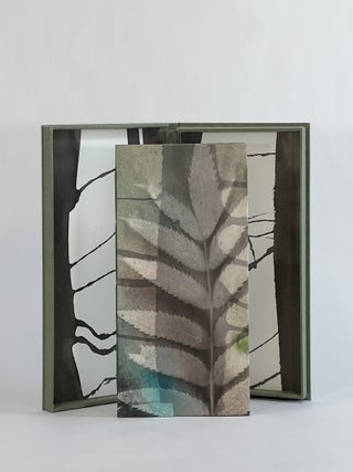 Before LiPo. Artist's Book, Nancy Ruth Leavitt.