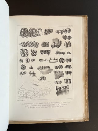 The Extinct Mammalian Fauna of Dakota and Nebraska. Including an Account of some Allied forms from other Localities, together with a Synopsis of the Mammalian Remains of North America, Illustrated with 30 Plates (Journal of the Academy of Natural Sciences of Philadelphia: Vol. VII. - Second Series)