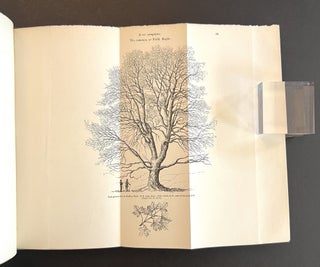 Arboretum et Fruticetum Britannicum; or, the Trees and Shrubs of Britain . . . (8 Volumes, Complete)