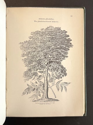 Arboretum et Fruticetum Britannicum; or, the Trees and Shrubs of Britain . . . (8 Volumes, Complete)