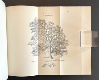 Arboretum et Fruticetum Britannicum; or, the Trees and Shrubs of Britain . . . (8 Volumes, Complete)