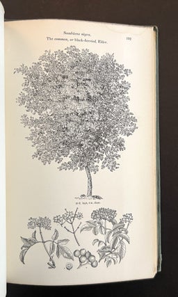 Arboretum et Fruticetum Britannicum; or, the Trees and Shrubs of Britain . . . (8 Volumes, Complete)