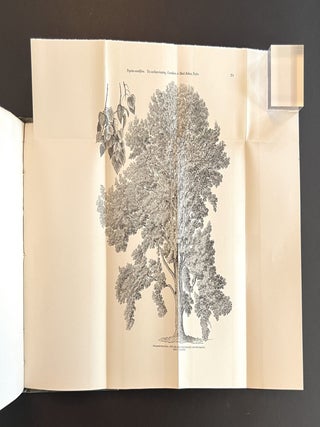 Arboretum et Fruticetum Britannicum; or, the Trees and Shrubs of Britain . . . (8 Volumes, Complete)