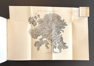 Arboretum et Fruticetum Britannicum; or, the Trees and Shrubs of Britain . . . (8 Volumes, Complete)